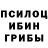 Псилоцибиновые грибы прущие грибы ExodusRiot
