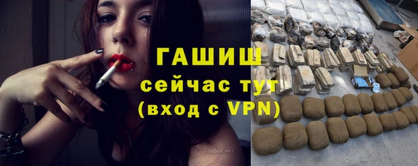 прущие грибы Абаза