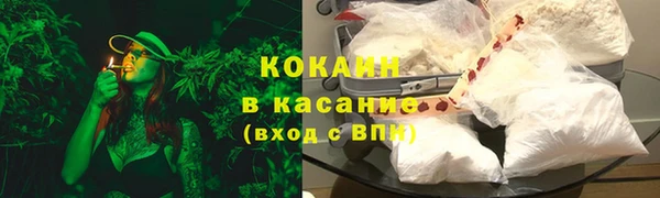 прущие грибы Абаза