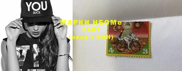 прущие грибы Абаза