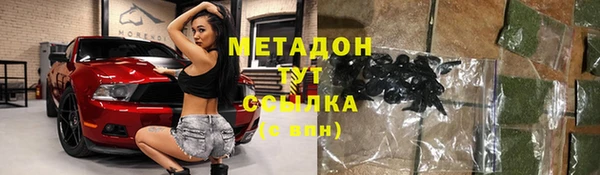 прущие грибы Абаза