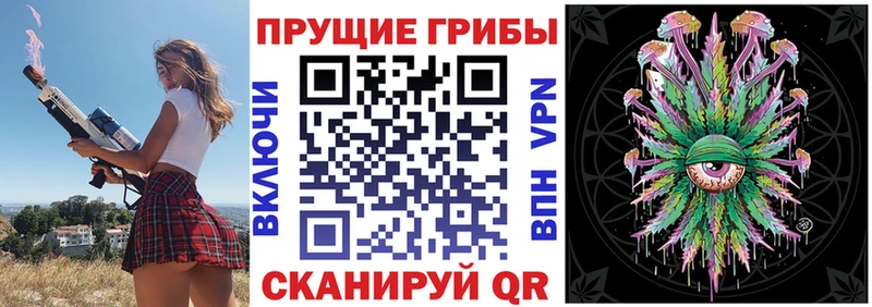 МЕГА ссылка  закладка  маркетплейс формула  Галлюциногенные грибы прущие грибы  Шилка 