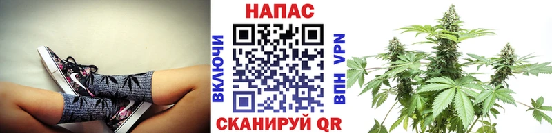 OMG маркетплейс  Шилка  Канабис конопля  закладки 